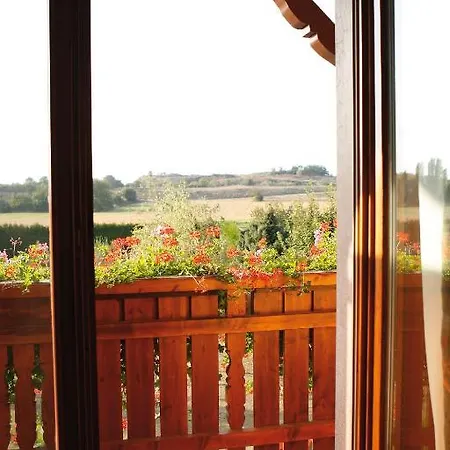 ホテル Au Cep De Vigne インネンハイム