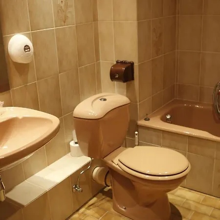 Au Cep De Vigne Hotel 3*