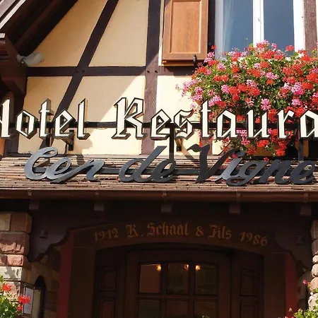 Au Cep De Vigne Hotel Innenheim