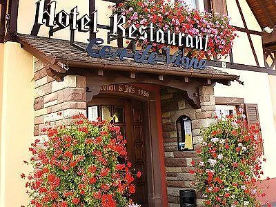 Au Cep De Vigne Hotel Innenheim