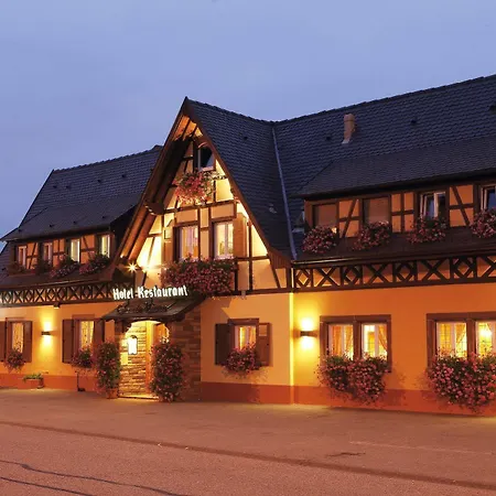 ホテル Au Cep De Vigne 3*