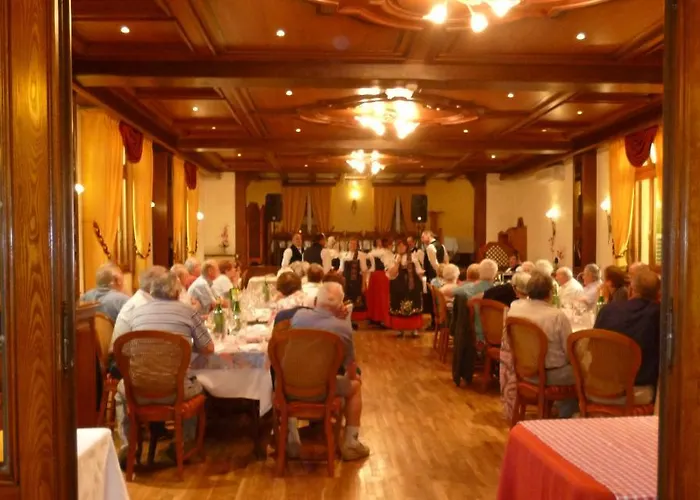Otel Au Cep De Vigne 3*