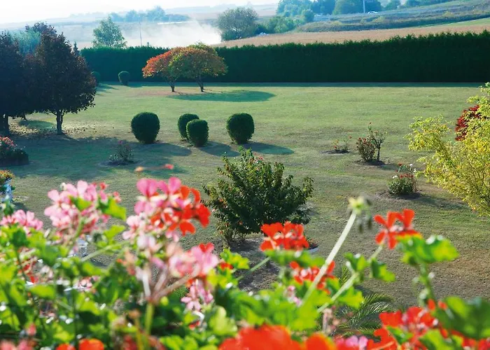 Otel Au Cep De Vigne Innenheim