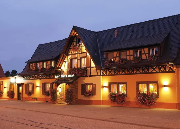 Otel Au Cep De Vigne 3*