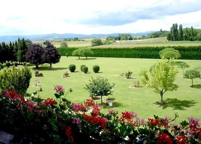 Au Cep De Vigne Otel